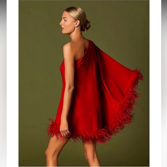 Antonio Melani Cosima One Sleeve Asymmetrical Neckline Feather Trim Dress - Picture 3 of 11